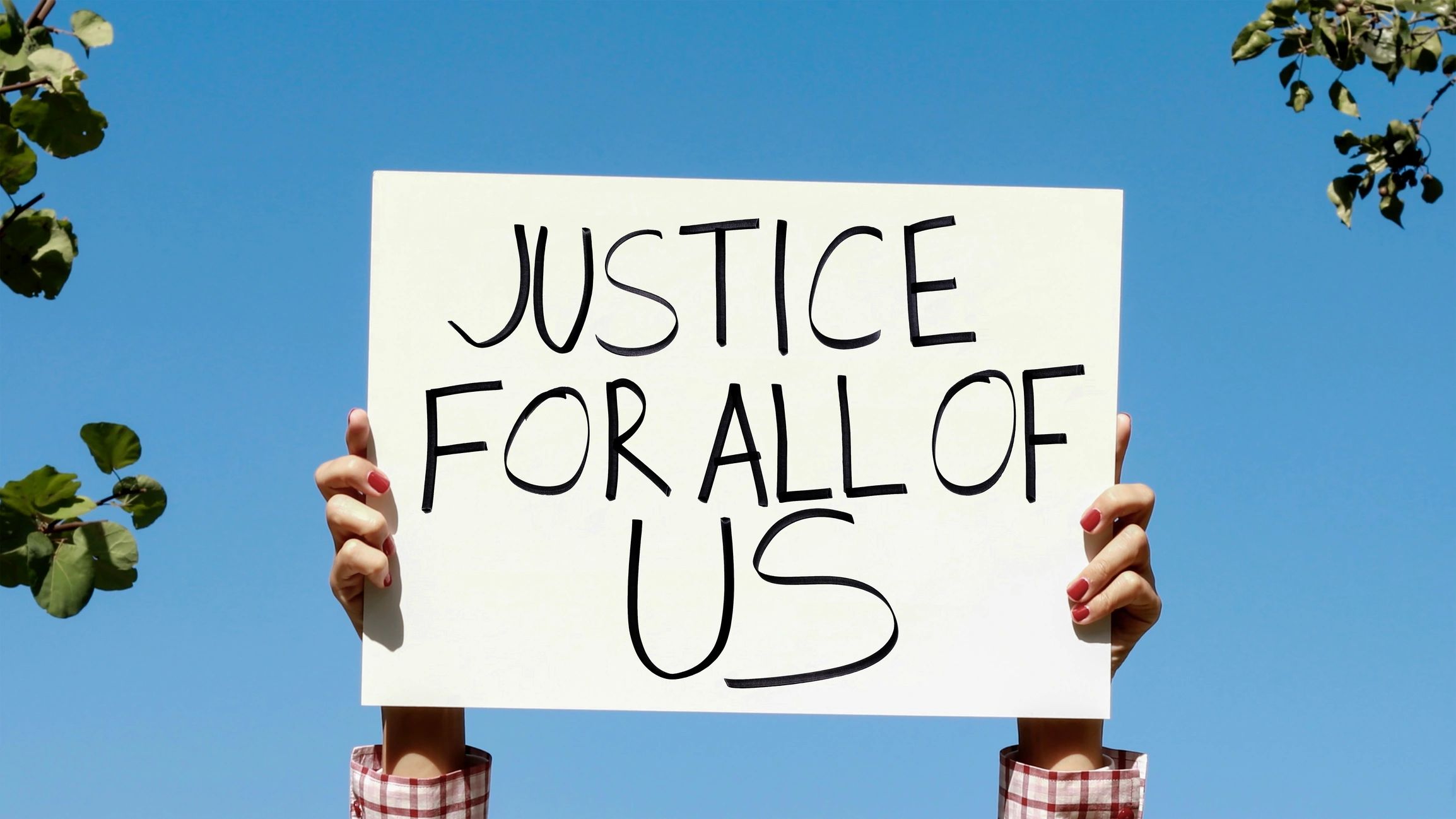 political advocacy