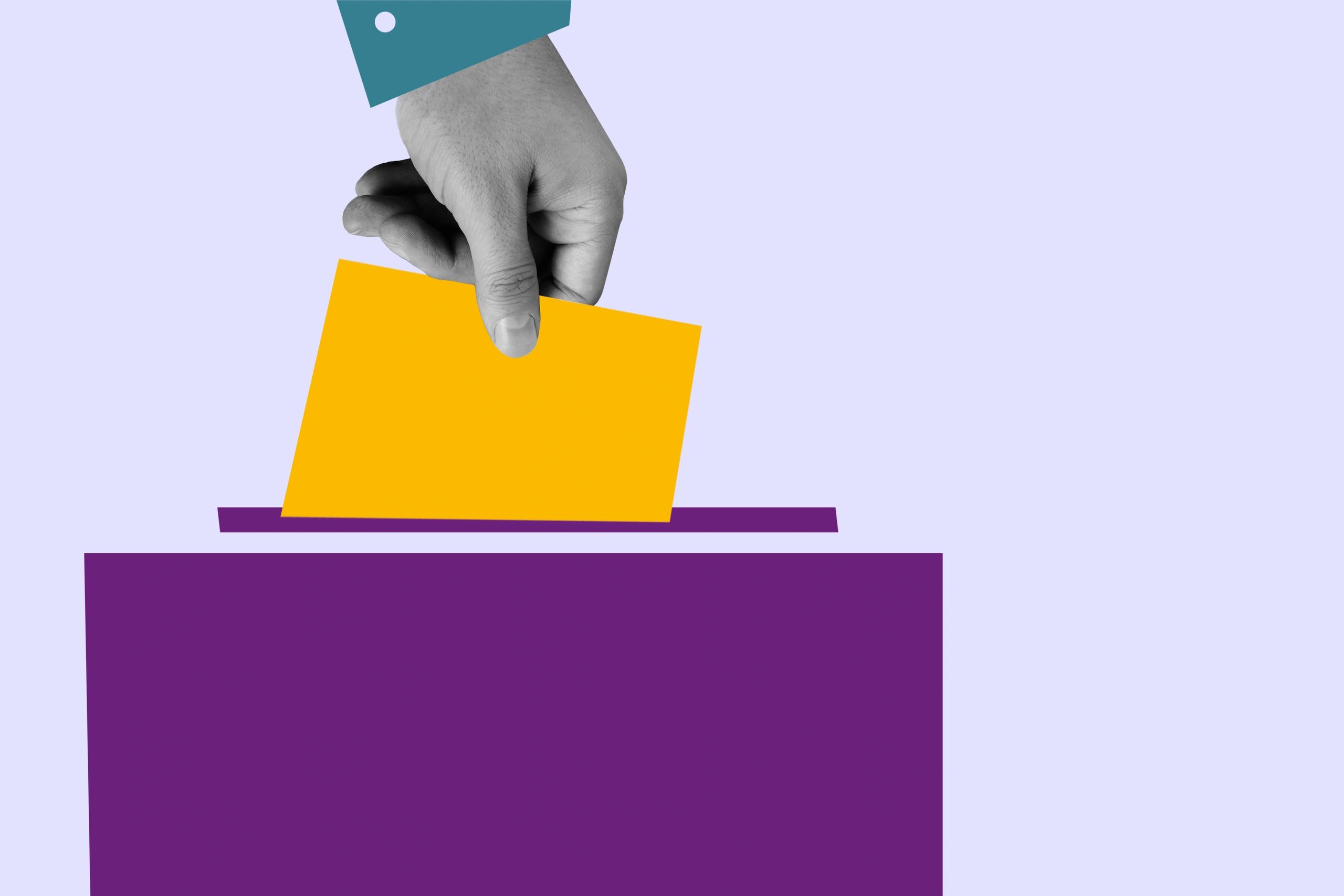 voter resources