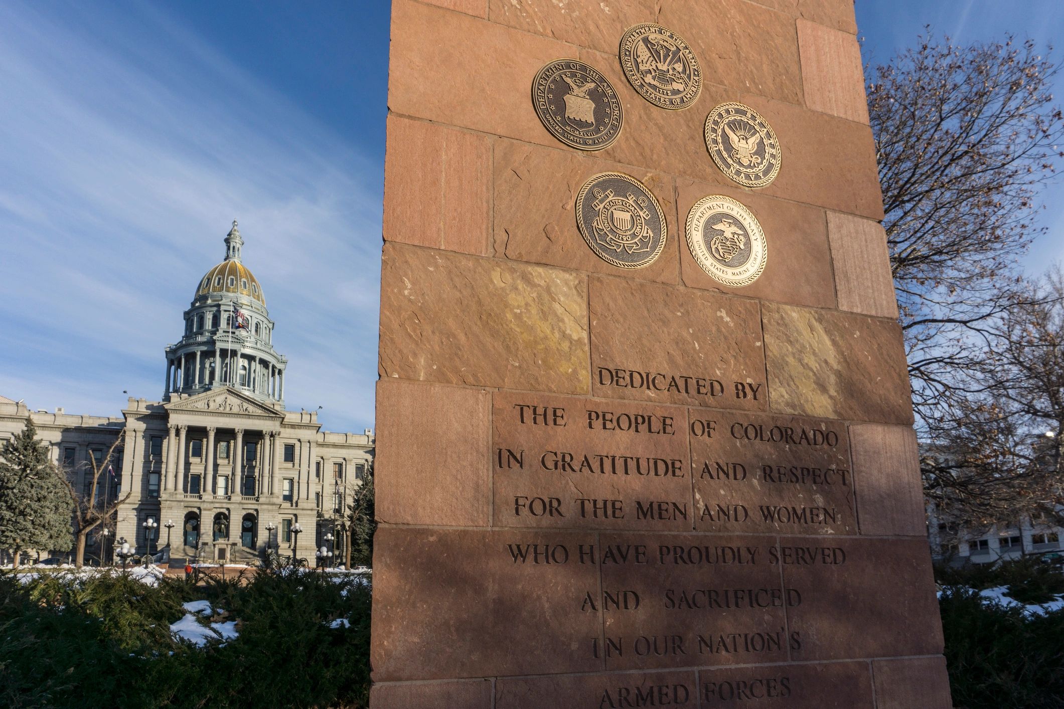 civic engagement Colorado